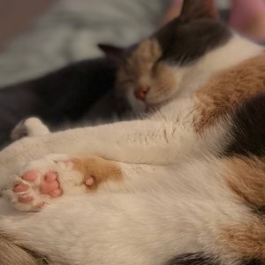 Meet your Posher, Elyana